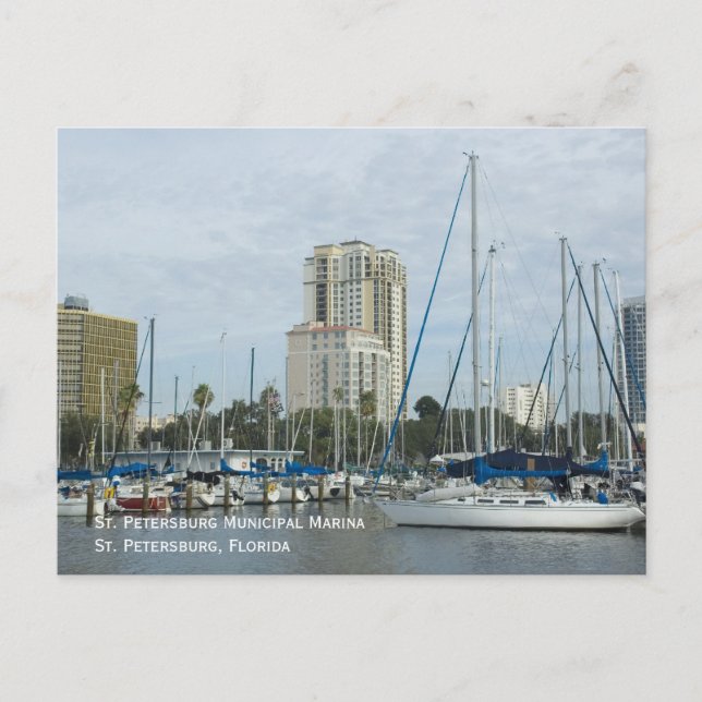 St. Petersburg Marina Postcard (Front)
