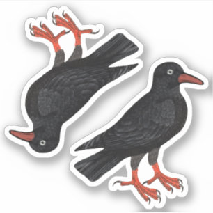 St. Piran's Day / St. Thomas Becket Choughs (fR) -