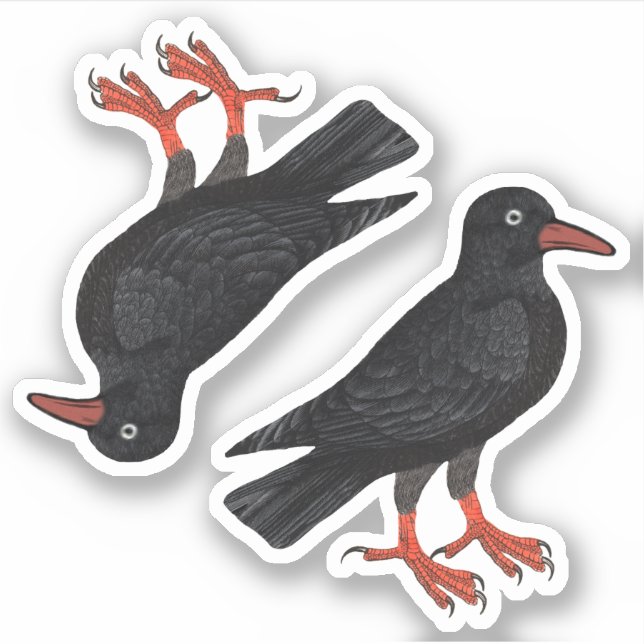 St. Piran's Day / St. Thomas Becket Choughs (fR) - (Front)