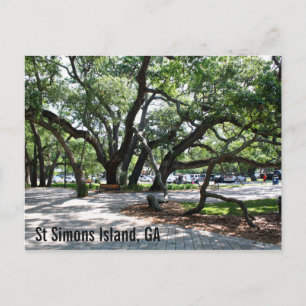 St Simons GA Wandering Oak Postcard
