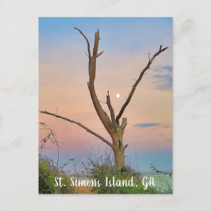 St. Simons Island, GA East Beach Sunset Postcard