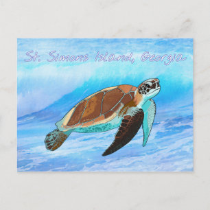 St. Simons Island, GA Sea Turtle Postcard