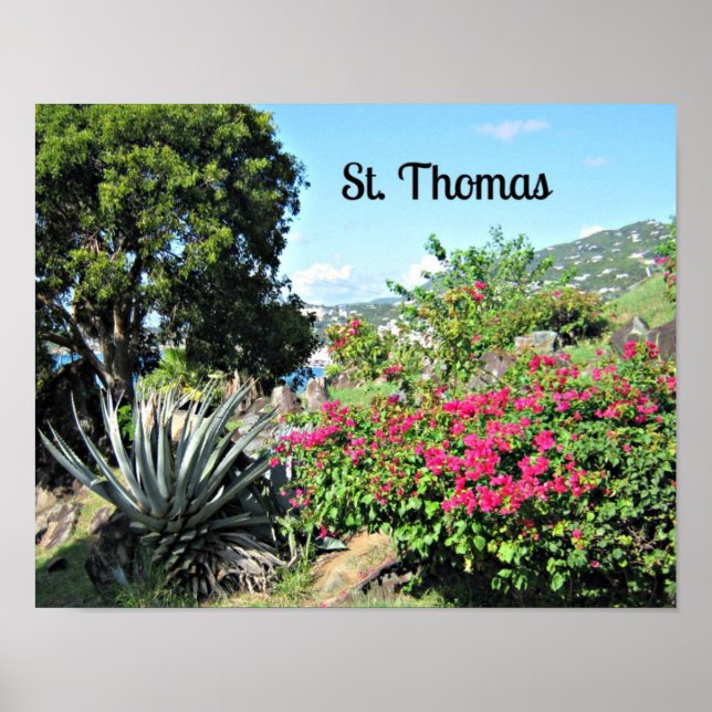 St. Thomas Poster (Front)
