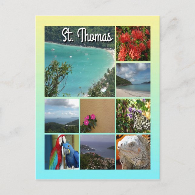 St. Thomas - Scenic Photo Collage 6115 Postcard (Front)
