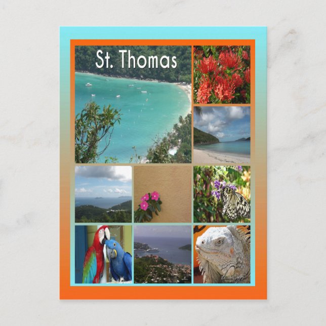 St. Thomas - Scenic Photo Collage 6119 Postcard (Front)