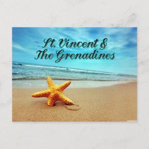 St. Vincent & The Grenadines starfish Postcard