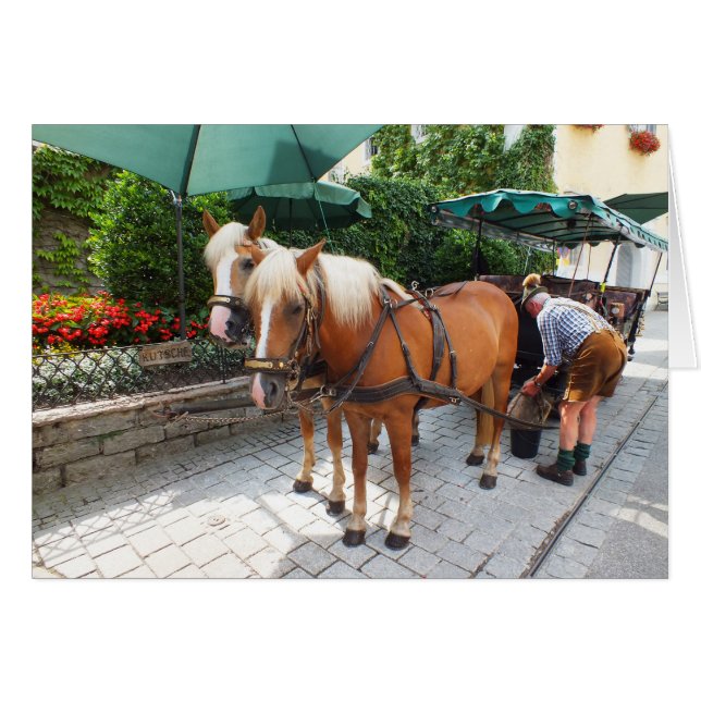 St Wolfgang en Autriche (Devant horizontal)