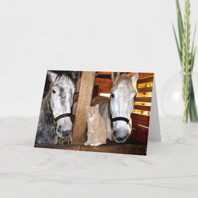 "Stable Buds" Greeting Card (Front)