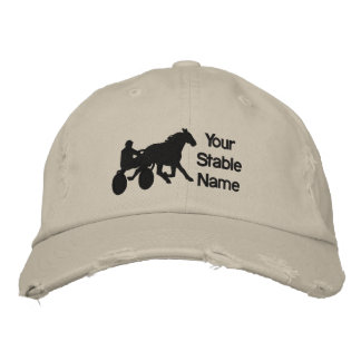 Stable Hat