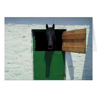 Stabled Horse with French Door