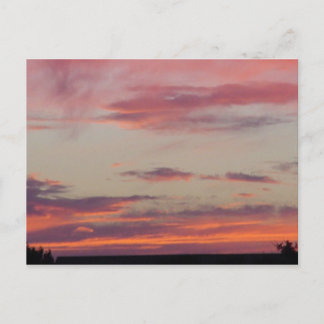 Stacey's Texas Sunset Postcard