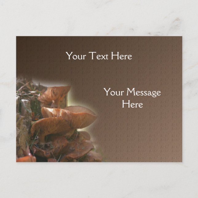 Stacked Wild Mushrooms Nature Postcard (Front)