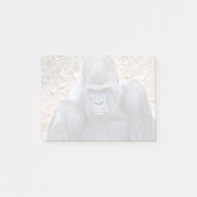 Stadi at Zoo Atlanta (2023) Post-it Notes (Front)