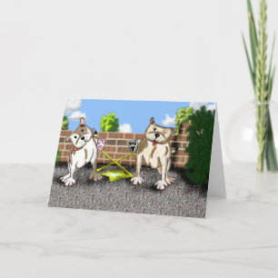 STAFFIE SMILES - X factor - greetings card