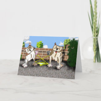 STAFFIE SMILES - X factor - greetings card