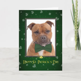 Staffie St. Patricks Day Card
