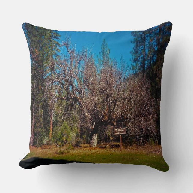 Stafford Crossing....... Throw Pillow (Front)