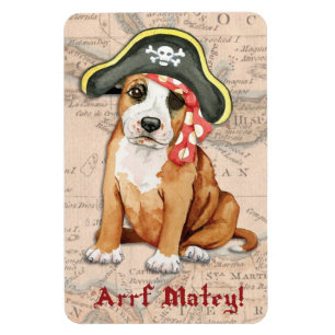 Stafford Pirate Magnet