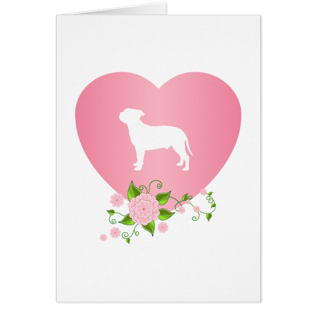 Staffordshire Bull Terrier (Front)