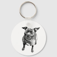Staffordshire Bull Terrier art style