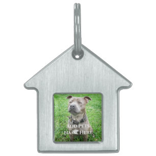 Staffordshire Bull Terrier At Attention,  Pet ID Tag