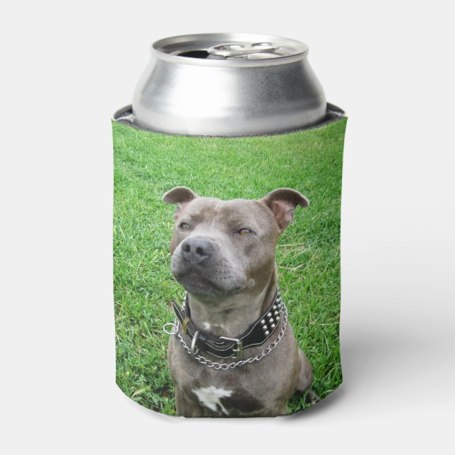 Staffordshire Bull Terrier, Can Cooler (Can Front)