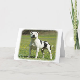 Staffordshire Bull Terrier Card