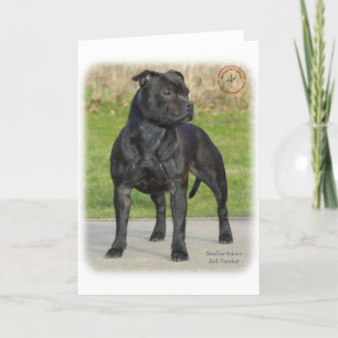 Staffordshire Bull Terrier Card