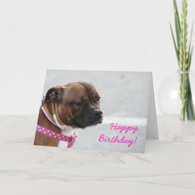 staffordshire bull terrier Carte de voeux d'annive (Devant)
