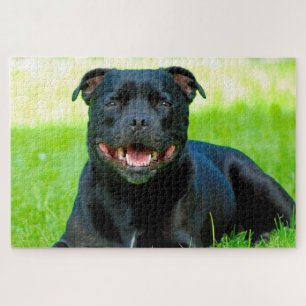 Staffordshire Bull Terrier Chien. Jigsaw Puzzle