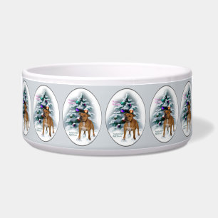 Staffordshire Bull Terrier Christmas