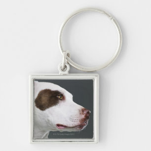 Staffordshire bull terrier, close-up keychain