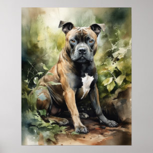 Staffordshire Bull Terrier Dog Art Imprimer Poster