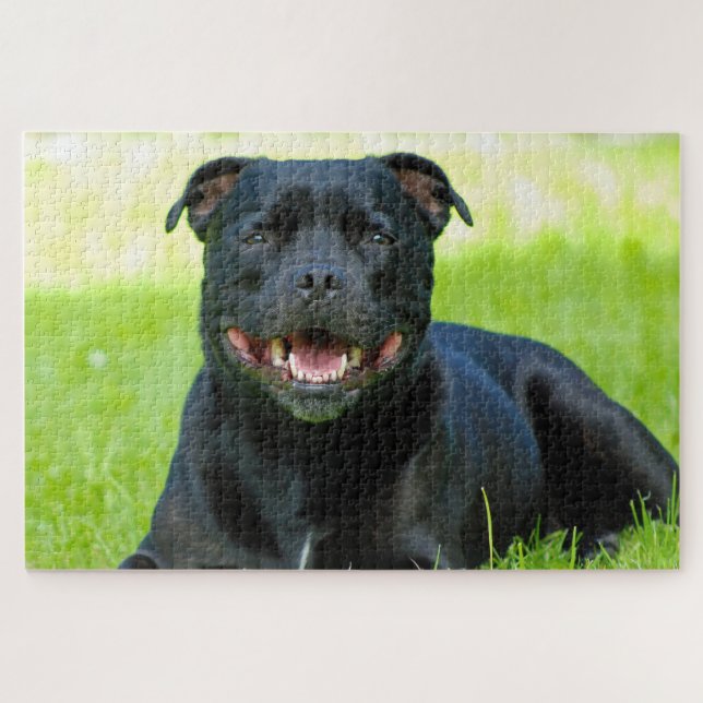 Staffordshire Bull Terrier Dog. Jigsaw Puzzle (Horizontal)