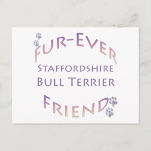 Staffordshire Bull Terrier Furever Friend Postcard