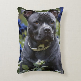 Staffordshire Bull Terrier In Blue Rose Garden,  Accent Pillow