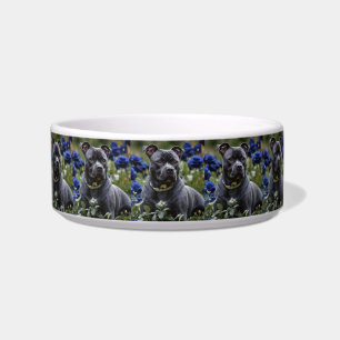 Staffordshire Bull Terrier In Blue Rose Garden,  Bowl