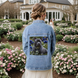 Staffordshire Bull Terrier In Blue Rose Garden, Denim Jacket