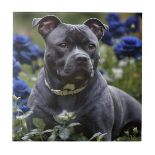 Staffordshire Bull Terrier In Blue Rose Garden,  Tile