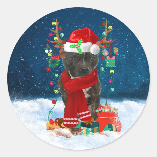 Staffordshire Bull Terrier in Snow with Christmas  Classic Round Sticker (Front)