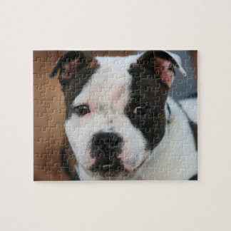 Staffordshire bull terrier jigsaw puzzle