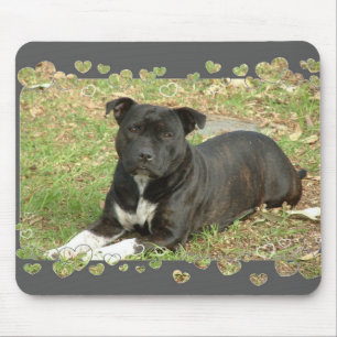 Staffordshire Bull Terrier mouse pad