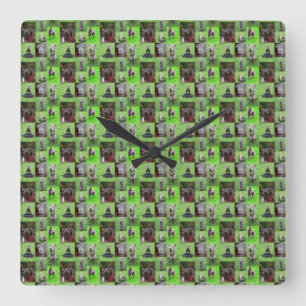 Staffordshire Bull Terrier Photo Collage, Square Wall Clock