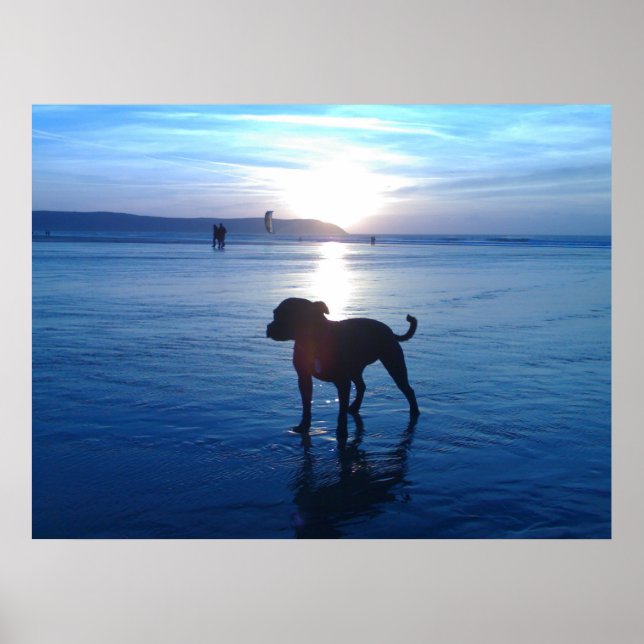 Staffordshire Bull Terrier Poster (Front)