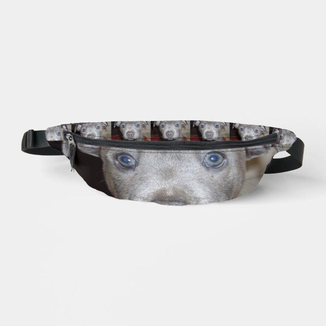 Staffordshire Bull Terrier Puppy Face, Fanny Pack (Front)