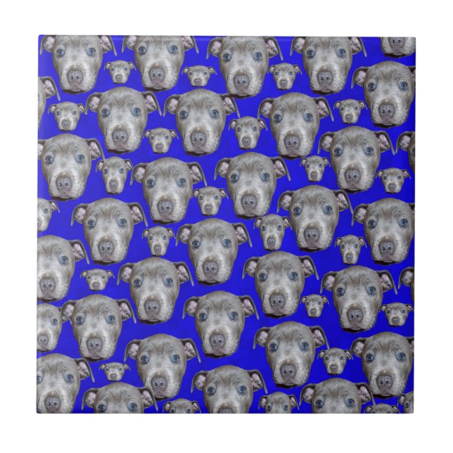 Staffordshire Bull Terrier Puppy Pattern, Tile (Front)