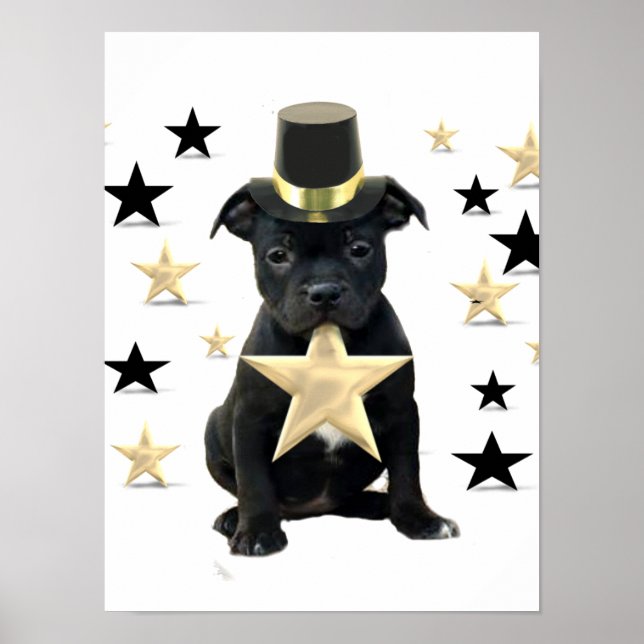 Staffordshire bull terrier puppy poster (Front)