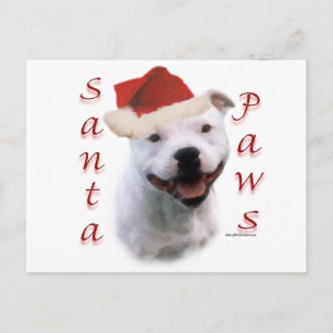 Staffordshire Bull Terrier Santa Paws Holiday Postcard