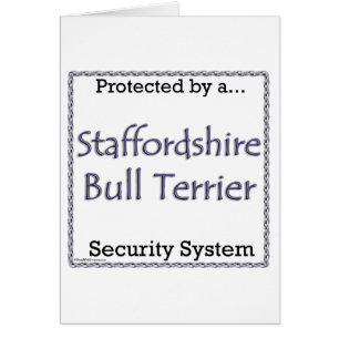 Staffordshire Bull Terrier Système de Sécurité