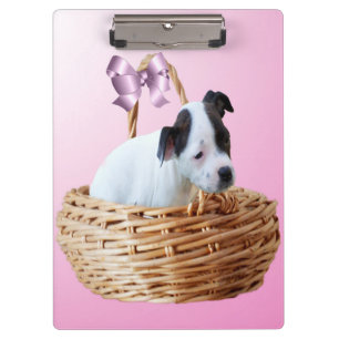 Staffordshire Puppy In A Basket,   Clipboard